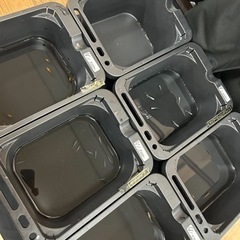 メダカ30種類10〜30匹セール