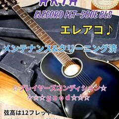 ★値下げしました★エレアコ♪★ARIA★ Elecord FET-500E BLS