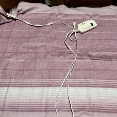 洗える電気毛布　1畳分　の画像