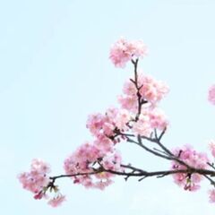 50代から友活😊自分時間を友達と遊ぼう✨