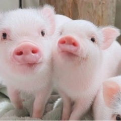 一緒に痩せよう！