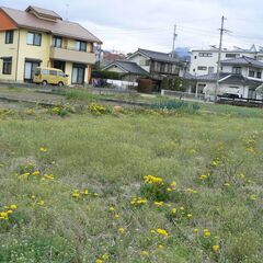 家庭菜園の仲間募集 【上田市真田町本原】 - 上田市