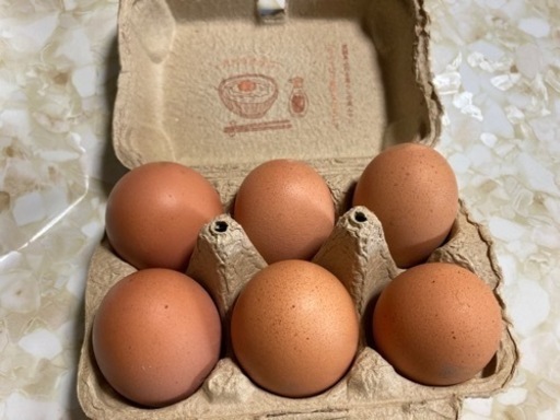 tamago003-tu80-01.jpg