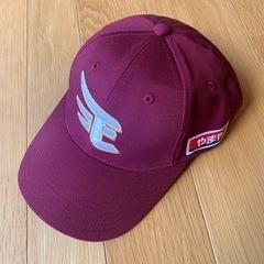 楽天イーグルスの中古が安い！激安で譲ります・無料であげます(3