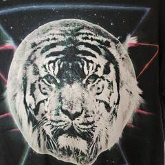 Tシャツ の画像