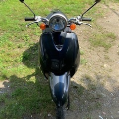 募集中　トュデイ　原付　の画像