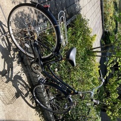 自転車 マウンテンバイク