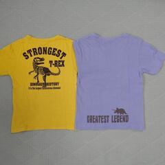 【120サイズ】半袖Tシャツ2枚セット(恐竜柄)の画像