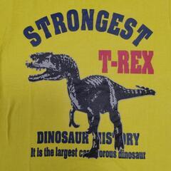 【120サイズ】半袖Tシャツ2枚セット(恐竜柄)の画像
