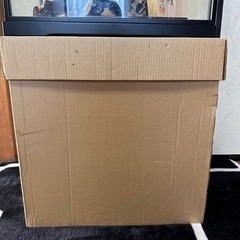 五月人形の画像