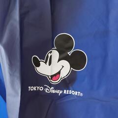 ディズニー服レインコートの画像