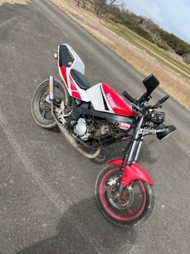 カワサキ TZR50R 4EU