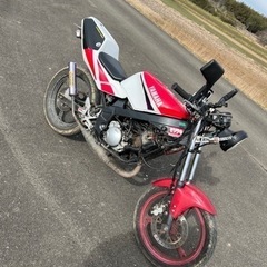 TZR50 4EUの中古が安い！激安で譲ります・無料であげます｜ジモティー