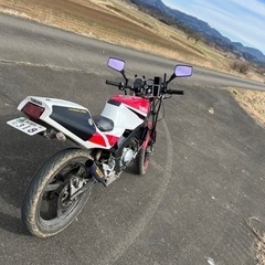 TZR50R 4EUの画像