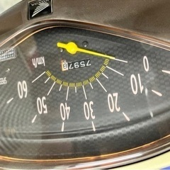 ディオチェスタの画像
