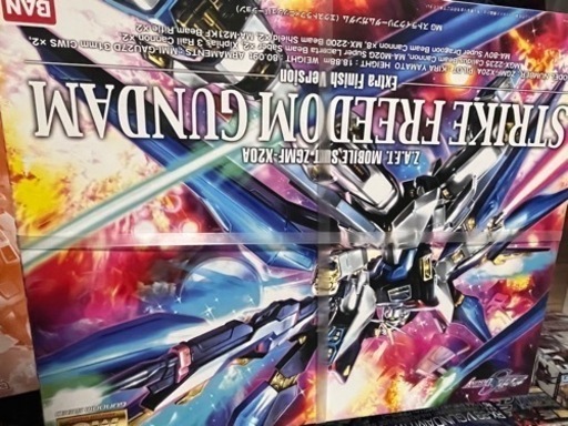 ガンプラ　MG　ストライクフリーダム　extra