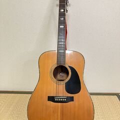 ヴィンテージ　Morris TF W50  アコースティックギター モーリス