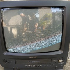 テレビ本体 TVS REGZA 有機ELテレビ REGZA レグザ [ 48V型 / 4K対応 / 4K