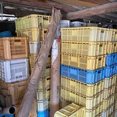 【完売しました】みかん箱100ケース(大中)の画像