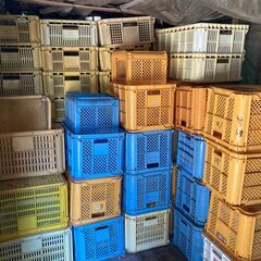 【完売しました】みかん箱100ケース(大中)の画像