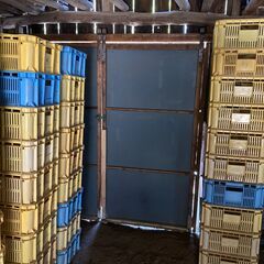 【完売しました】みかん箱100ケース(大中)の画像