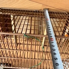鳥籠　　文鳥など小鳥にの画像