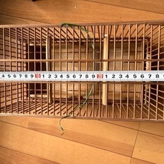 鳥籠　　文鳥など小鳥にの画像