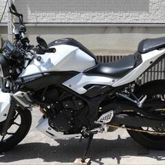 MT-25丸目2016年式