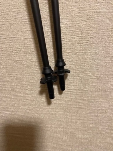 スポーツ スキー