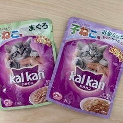キャットフード