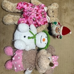 可愛いぬいぐるみ🧸