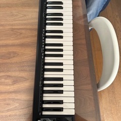 楽器 鍵盤楽器、ピアノ