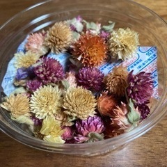 無農薬栽培　ドライフラワーの画像