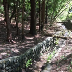 秩父郡横瀬町　プライベートキャンプ場　池袋から90分以内　 − 埼玉県
