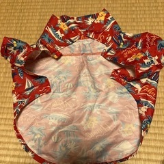 犬の服の画像