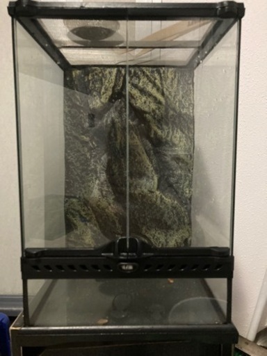 爬虫類ケージ　