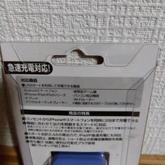 2台同時急速充電対応 2ポートAC充電器【未使用】の画像