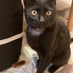 約2歳の男の子