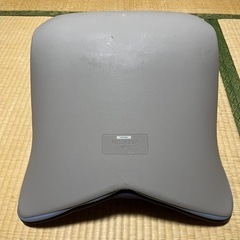 mtg style premium スタイルプレミアム 腰痛 骨盤 姿勢の画像