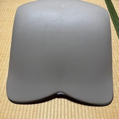 mtg style premium スタイルプレミアム 腰痛 骨盤 姿勢の画像