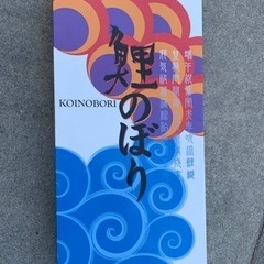 こいのぼり【引き渡し調整中】