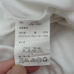 Tシャツ レディース　サイズLの画像