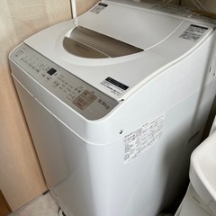 家電 生活家電 洗濯機の画像