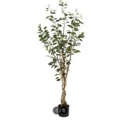 フェイクグリーン　ニトリ購入　植木鉢付きの画像