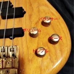 レアモデル Fernandes アクティブ ベース アッシュボディの画像