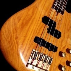 レアモデル Fernandes アクティブ ベース アッシュボディの画像