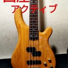 レアモデル Fernandes アクティブ ベース アッシュボディ