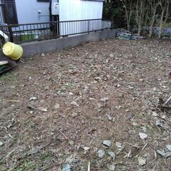 草刈り作業承ります