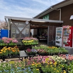 👍JAさがみ直売所各店のメダカ・水草販売イベント‼️（社会貢献の一貫としてＪＡ直売所各店を通じて介護施設・養護施設・小学校・幼稚園にメダカ寄贈も行っています） - 藤沢市
