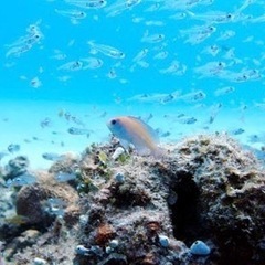 ５月４日８人になり〆切ます💦ありがとうございました。